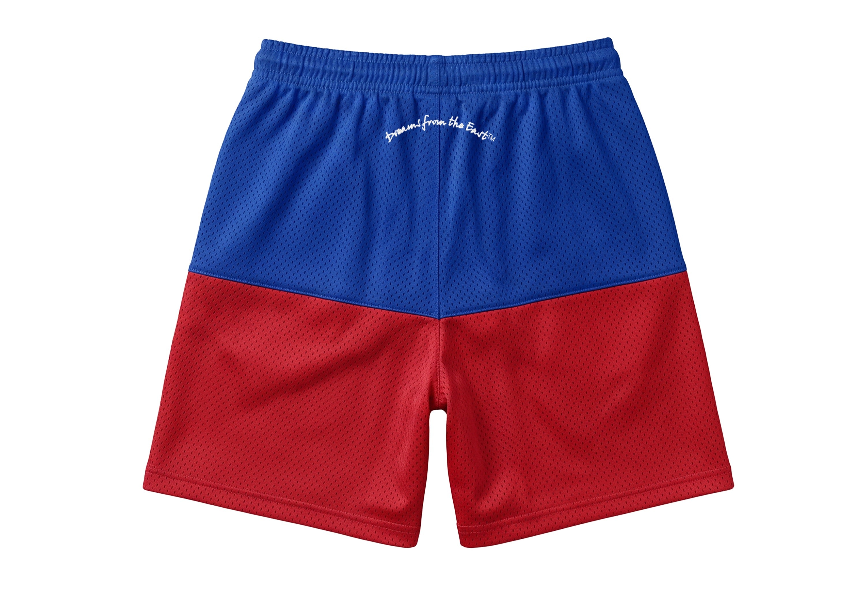 DREAM$ Mesh Shorts (Haiti)