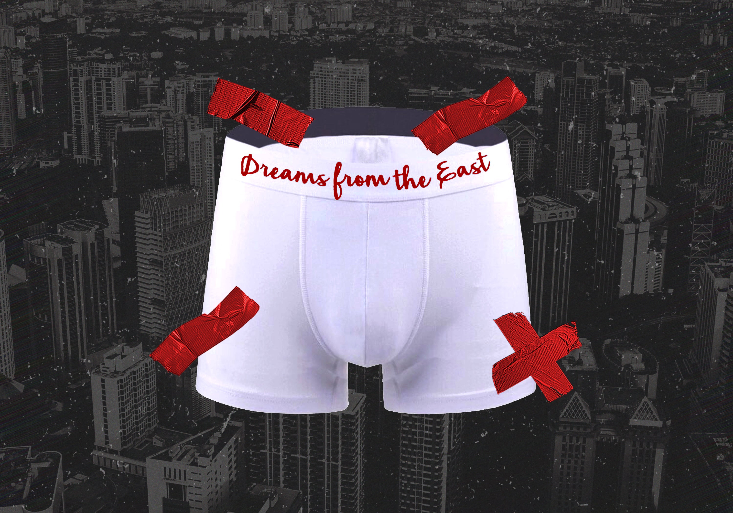 DREAM$ ® Briefs (Bundle)