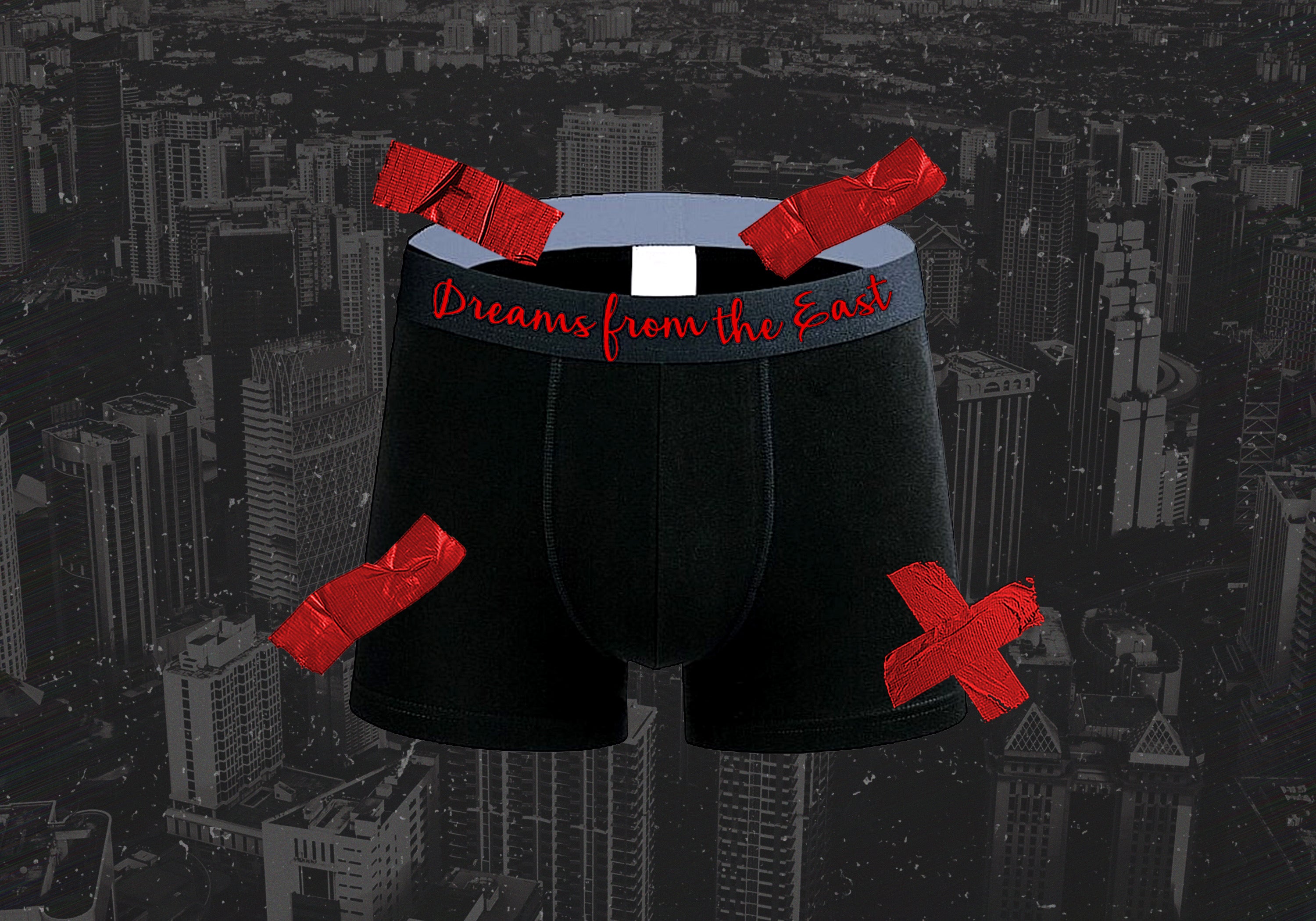 DREAM$ ® Briefs (Bundle)