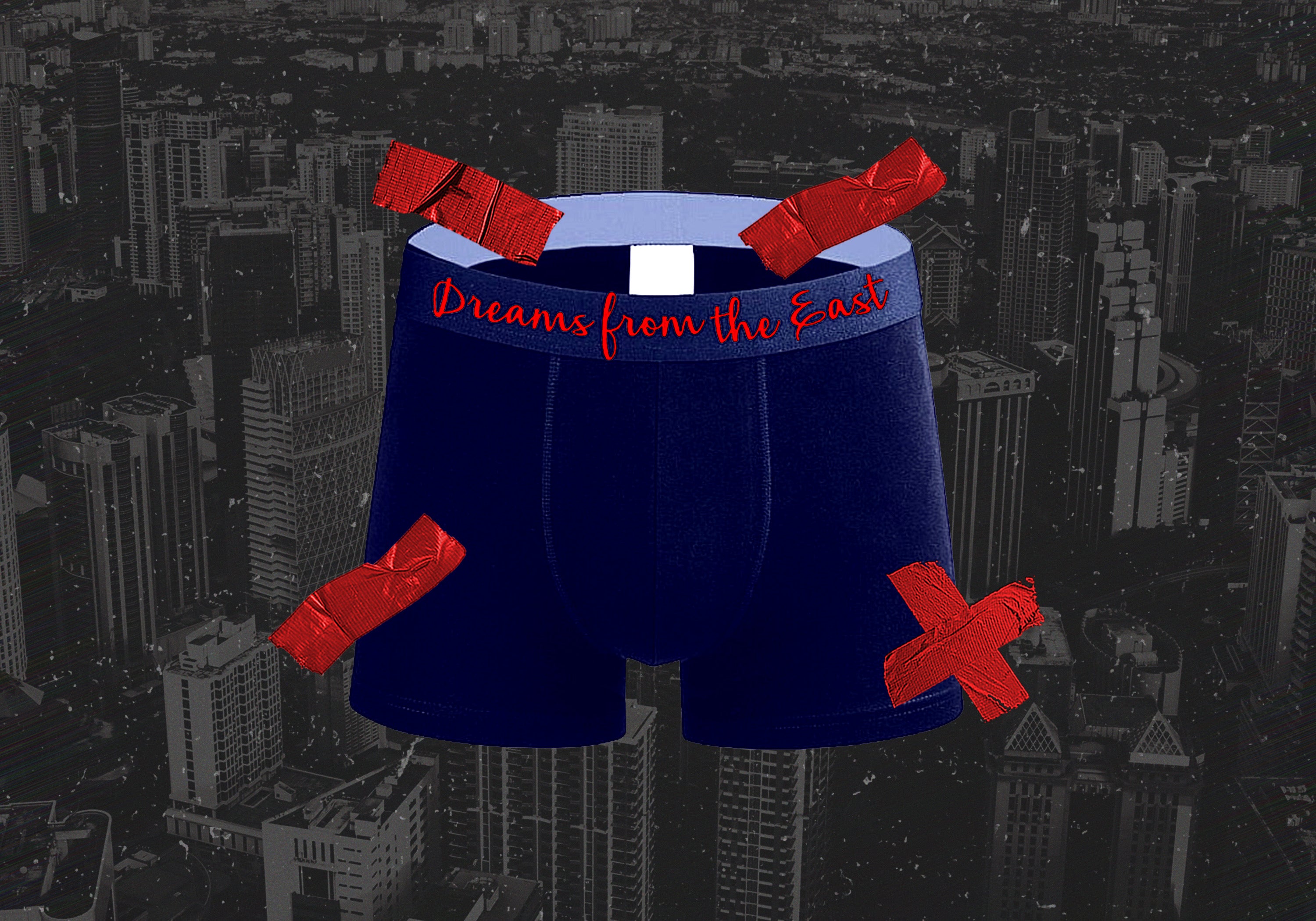 DREAM$ ® Briefs (Bundle)
