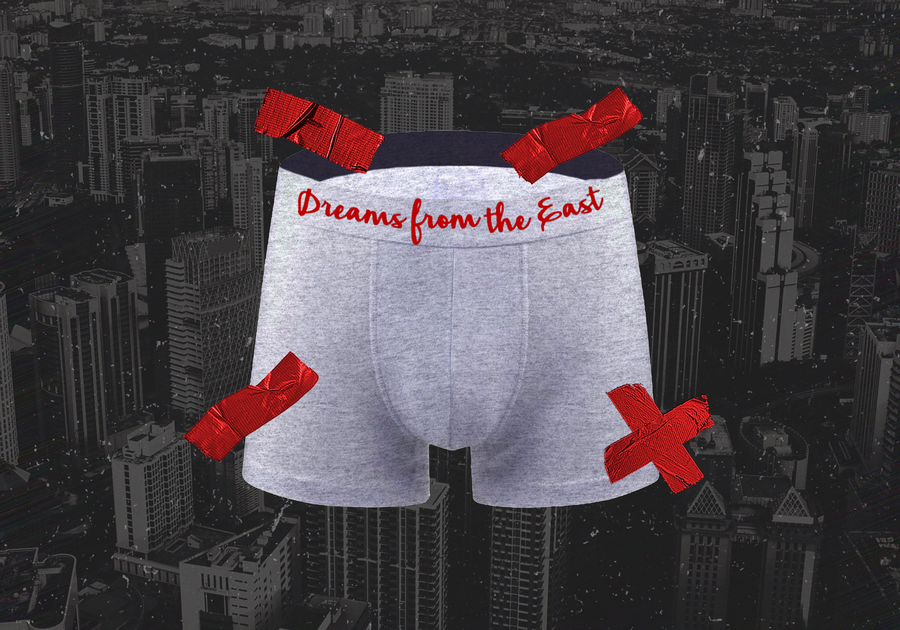 DREAM$ ® Briefs (Bundle)