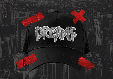 DREAM$ ® Hat (Silver)